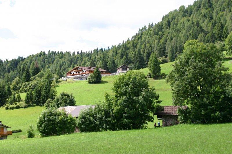 Chalet Piereni Hotel Fiera Di Primiero Exterior photo